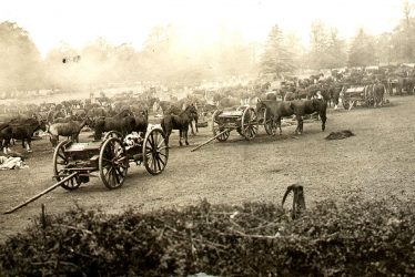 Bilton.  Howitzer Brigade