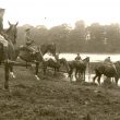 Coombe Abbey.  4th South Midland (Howitzer) Battery