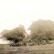 Coombe Abbey.  4th South Midland (Howitzer) Battery