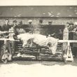 Rugby.  Ox roast