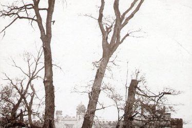 Rugby School.  Three Trees