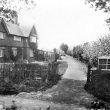 Bilton.  Woods & Sons
