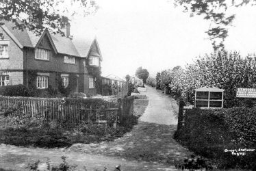Bilton.  Woods & Sons