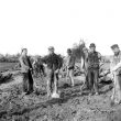 Newbold on Avon.  Great Central Railway trimming gang