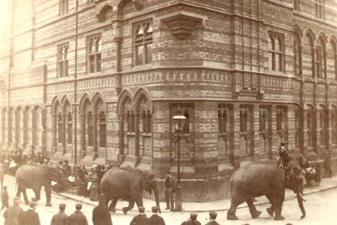 Rugby.  Lawrence Sheriff Street, elephants