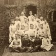 Rugby.  Lions Rugby Football Team