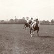 Rugby.  Polo game at Springhill