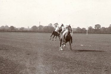 Rugby.  Polo game at Springhill
