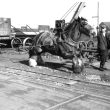 Rugby.  T Hunter, wagon works