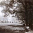 Rugby.  Caldecott Park