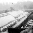 Birdingbury Hall.  Greenhouse