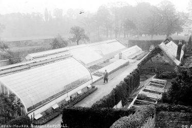 Birdingbury Hall.  Greenhouse