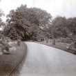 Rugby.  Caldecott Park