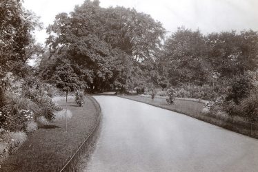 Rugby.  Caldecott Park
