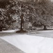 Rugby.  Caldecott Park