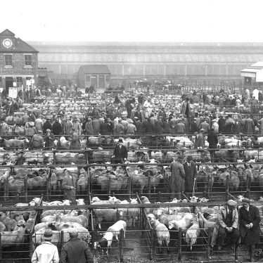 Rugby.  Cattle Market