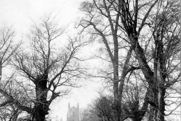 Monks Kirby.  Country lane