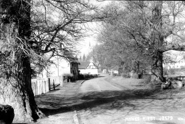 Monks Kirby.  Tree lined lane