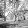 Bilton.  Green