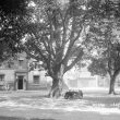 Bilton.  George Inn