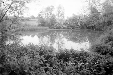 Frankton.  Fish Pool