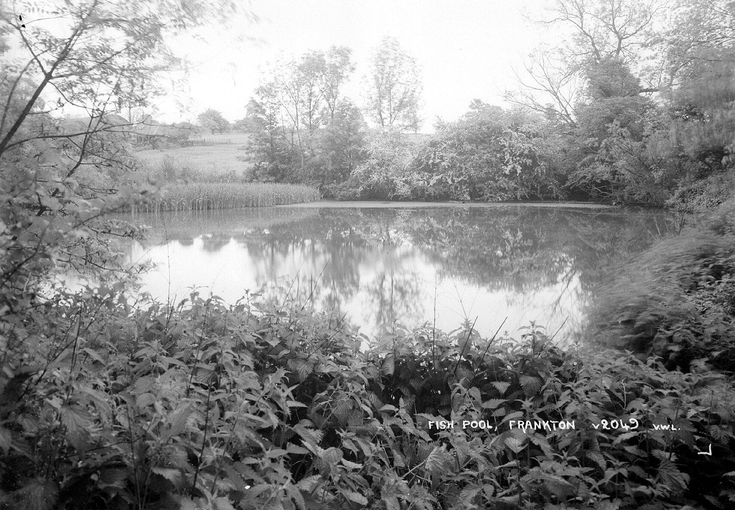 Frankton. Fish Pool Our Warwickshire