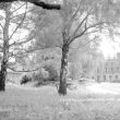 Stretton under Fosse.  Newbold Revel
