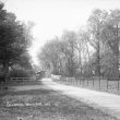 Willoughby.  Sawbridge