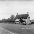 Wolvey.  Thatched cottage
