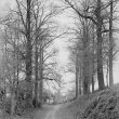 Alcester.  Mill Lane