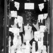 Alcester.  Shop window competition