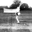 Alcester.  Cricket match