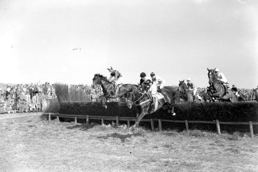Alcester.  Steeple chase