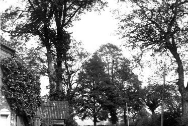 Marton.  Birdingbury Road