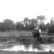 Salford Priors.  Agricultural machinery