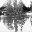 Warwick.  Saxon Mill and mill pool
