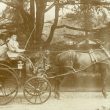 Warwick.  Guy's Cliffe, pony and trap in grounds