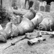 Salford Priors.  Church bells