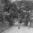 Brailes.  Banbury Road near Hook Norton turning