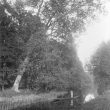 Alveston.  River Avon at Hatton Rock