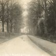 Alveston.  The Leys
