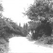 Ardens Grafton.   Footpath