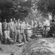 Brailes, Lower.  Tree felling