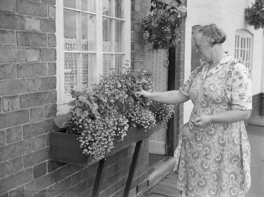 Mrs M Burden, tending her window box. She won 3rd prize in the Bretford Best Kept Village award in 1958. |  IMAGE LOCATION: (Warwickshire County Record Office) PEOPLE IN PHOTO: Burden, Mrs M, Burden as a surname