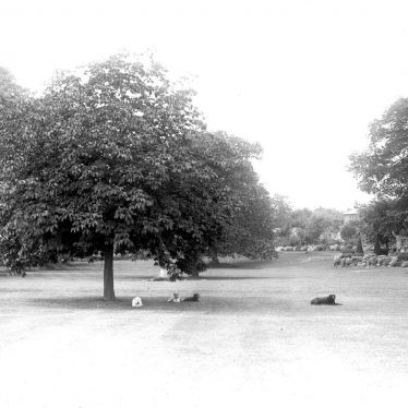 Bidford on Avon.  Avonside House, grounds