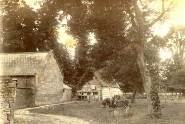 Cherington.  Donkey and farm buildings