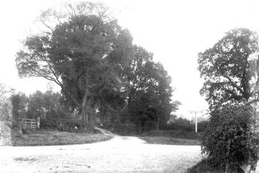 Claverdon.  Star Lane from Lye Green