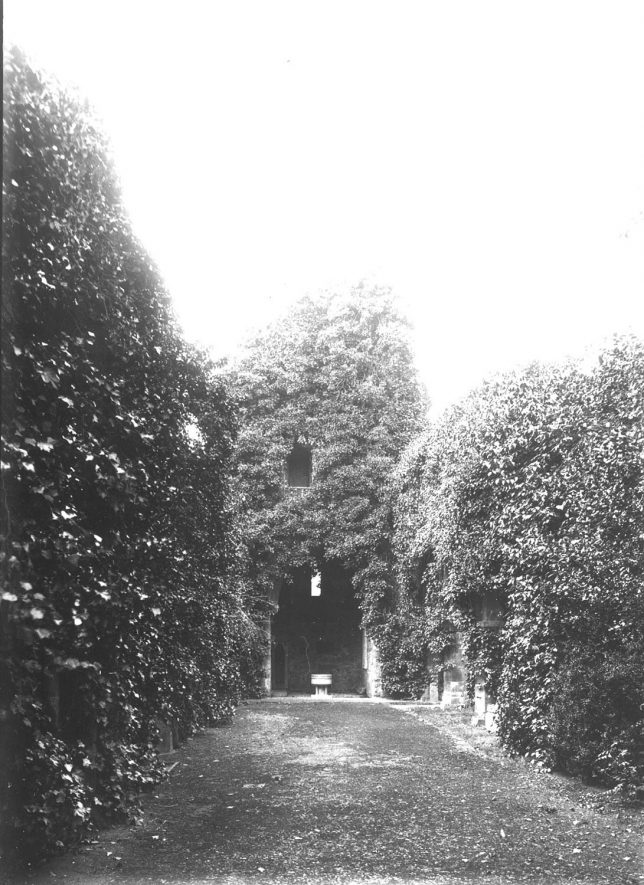 Ruins of St Thomas a Beckett church Ettington.  1900s |  IMAGE LOCATION: (Warwickshire County Record Office)