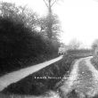 Haselor, Lower.  Country lane