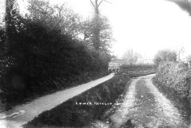 Haselor, Lower.  Country lane